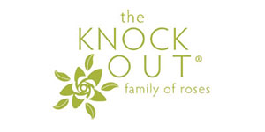 Knock Out® Roses