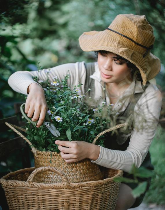Growing Plants from Cuttings